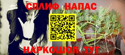 марихуана Будённовск