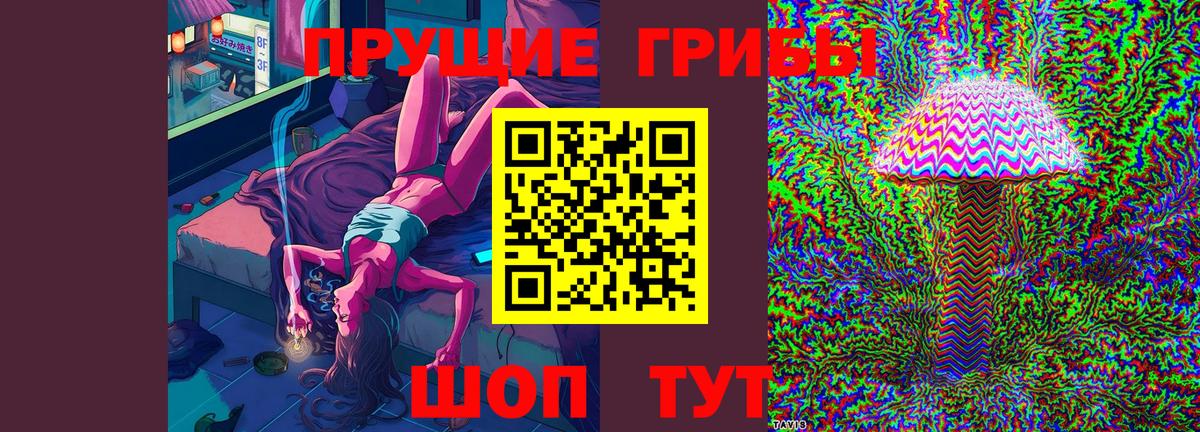 Сертолово  Псилоцибиновые грибы Magic Shrooms  Вход с VPN 