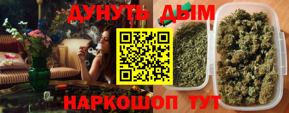 Шишки марихуана планчик  Вход с VPN  Шишки марихуана Ganja  Сертолово  Каннабис OG Kush  Каннабис семена 